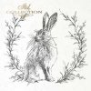 zające z roślinnymi wieńcami*hares with floral wreaths*Hasen mit Blumenkränzen*liebres con coronas de flores